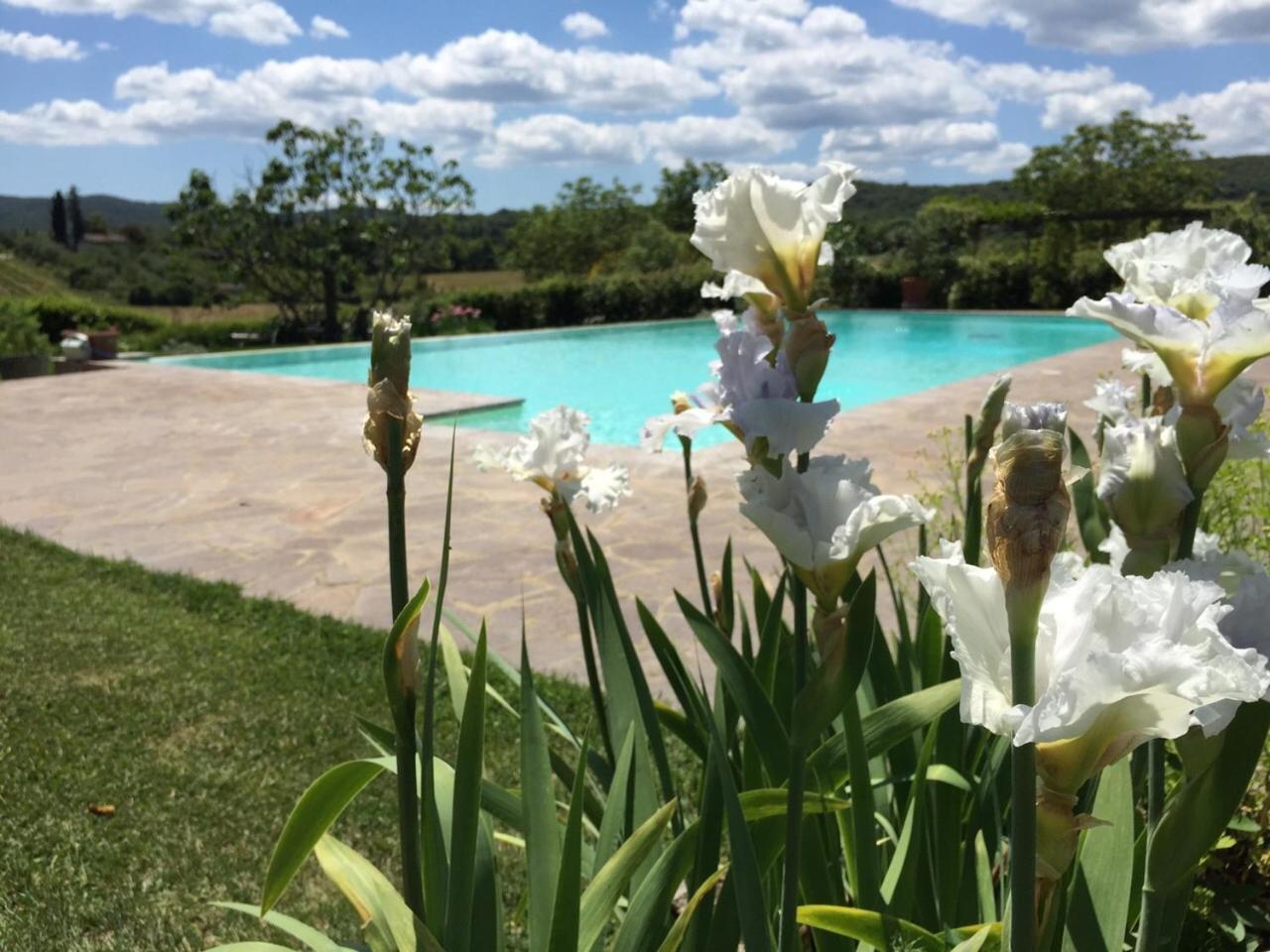 Tenuta Di Corsano モンテローニ・ダルビア エクステリア 写真