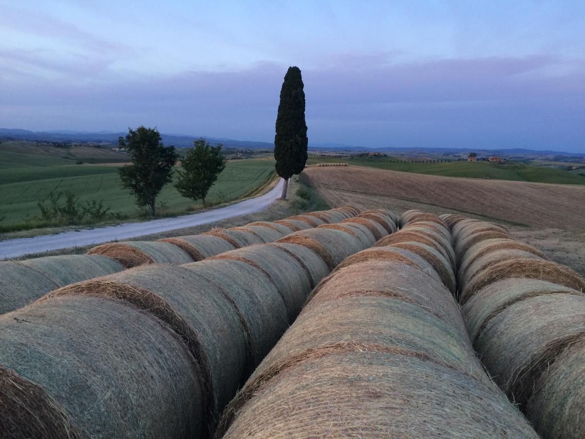 Tenuta Di Corsano モンテローニ・ダルビア エクステリア 写真